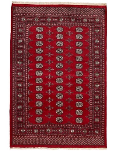 Hand made rug Bukhara fine Pakistan cm.171x252