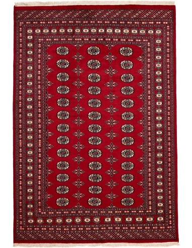 Hand made rug Bukhara fine Pakistan cm.170x247