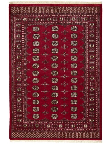 Hand made rug Bukhara fine Pakistan cm.170x249