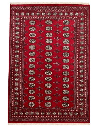 Hand made rug Bukhara fine Pakistan cm.169x248