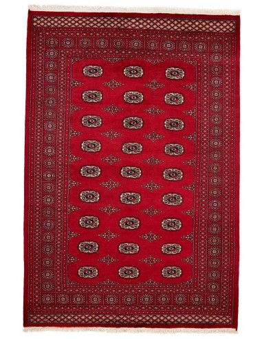 Hand made rug Bukhara fine Pakistan cm.171x249