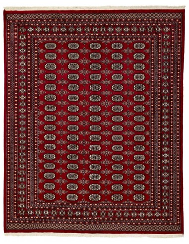 Hand made rug Bukhara fine Pakistan cm.245x306