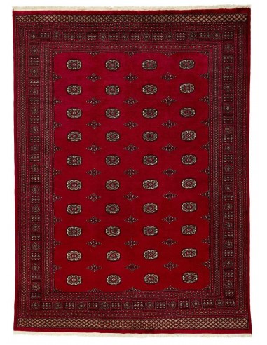 Hand made rug Bukhara fine Pakistan cm.235x319