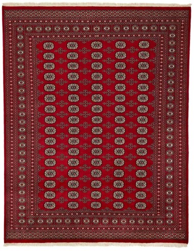 Hand made rug Bukhara fine Pakistan cm.247x314