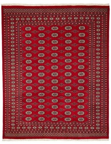 Hand made rug Bukhara fine Pakistan cm.248x310