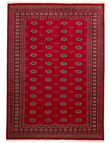 Hand made rug Bukhara fine Pakistan cm.246x346