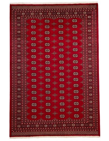 Hand made rug Bukhara fine Pakistan cm.247x334