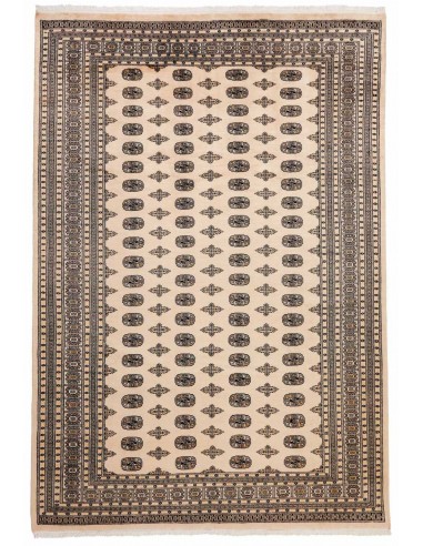 Hand made rug Bukhara fine Pakistan cm.245x357