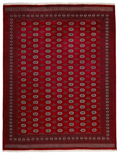 Hand made rug Bukhara fine Pakistan cm.312x400