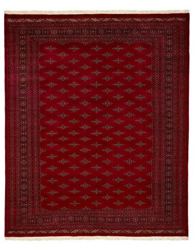 Hand made rug Bukhara extra fine Pakistan cm.247x300