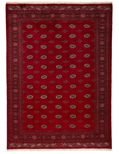 Hand made rug Bukhara extra fine Pakistan cm.241x333