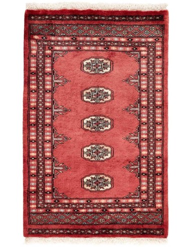 Hand made rug Bukhara extra fine Pakistan cm.64x99