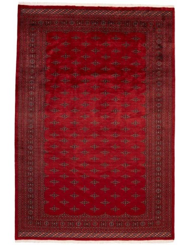 Hand made rug Bukhara extra fine Pakistan cm.248x358