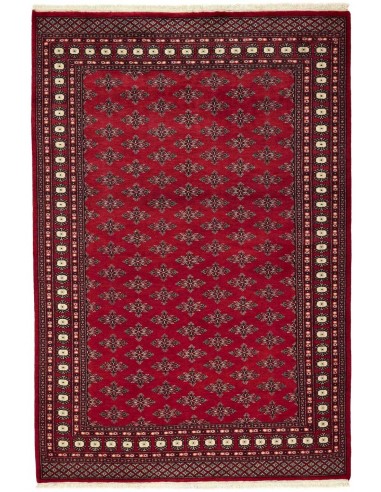 Hand made rug Bukhara fine Pakistan cm.171x254