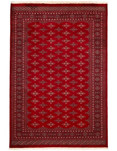 Hand made rug Bukhara fine Pakistan cm.191x281
