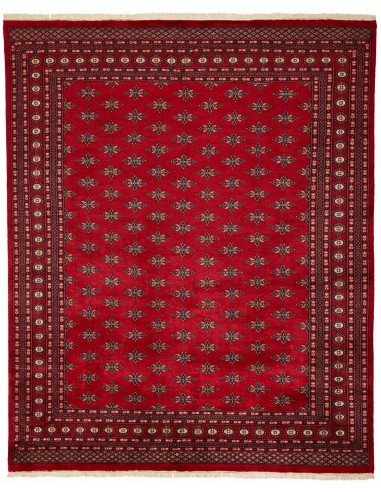 Hand made rug Bukhara fine Pakistan cm.243x298