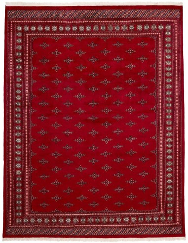 Hand made rug Bukhara fine Pakistan cm.279x359