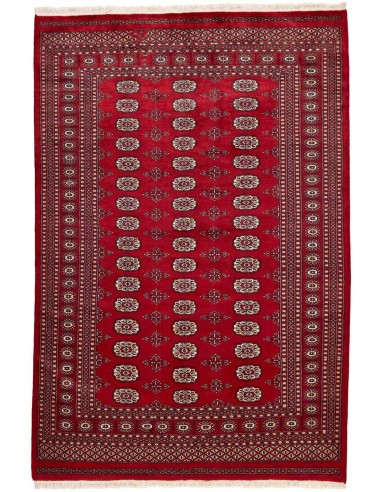 Hand made rug Bukhara fine Pakistan cm.169x251