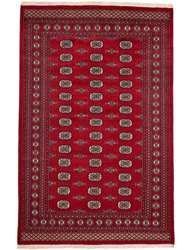 Hand made rug Bukhara fine Pakistan cm.171x257