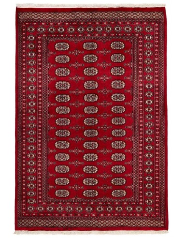 Hand made rug Bukhara fine Pakistan cm.168x249