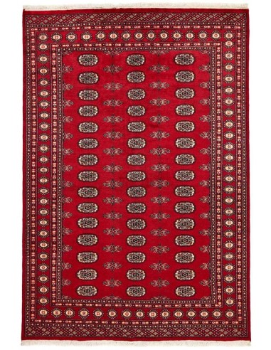 Hand made rug Bukhara fine Pakistan cm.171x250