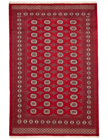 Hand made rug Bukhara fine Pakistan cm.169x252