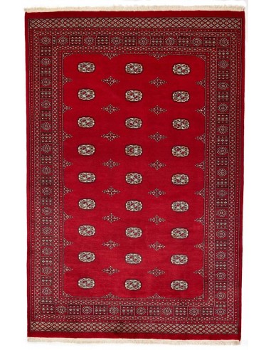 Hand made rug Bukhara fine Pakistan cm.188x284