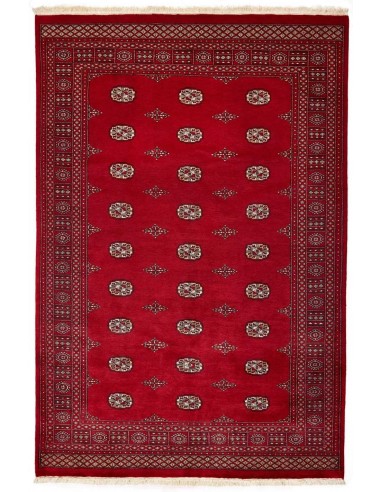 Hand made rug Bukhara fine Pakistan cm.188x281