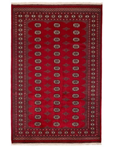 Hand made rug Bukhara fine Pakistan cm.187x283