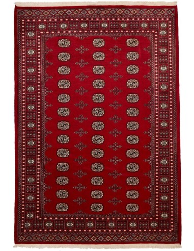 Hand made rug Bukhara fine Pakistan cm.190x274