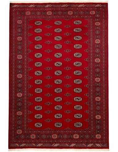 Hand made rug Bukhara fine Pakistan cm.190x280