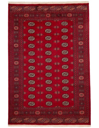 Hand made rug Bukhara fine Pakistan cm.179x266