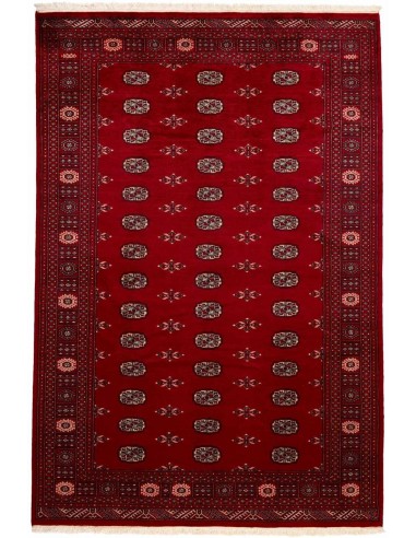 Hand made rug Bukhara fine Pakistan cm.186x276