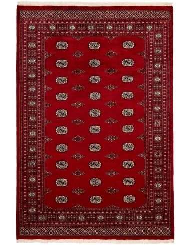 Hand made rug Bukhara fine Pakistan cm.186x277
