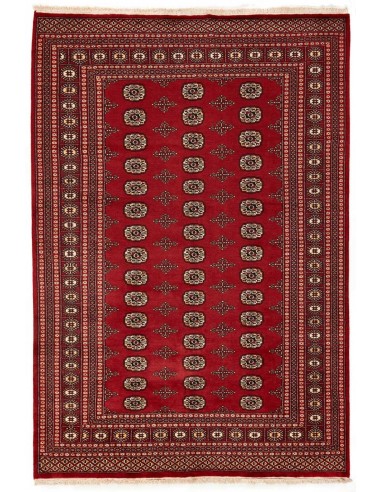 Hand made rug Bukhara fine Pakistan cm.186x271