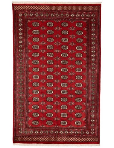 Hand made rug Bukhara fine Pakistan cm.180x288