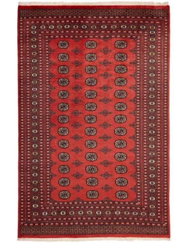 Hand made rug Bukhara fine Pakistan cm.185x291