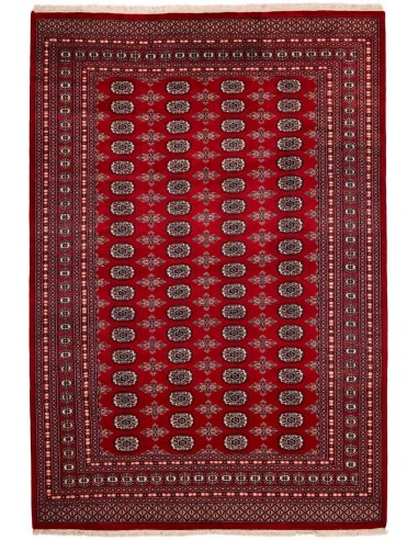 Hand made rug Bukhara fine Pakistan cm.207x305
