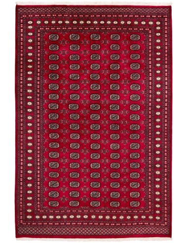 Hand made rug Bukhara fine Pakistan cm.203x306