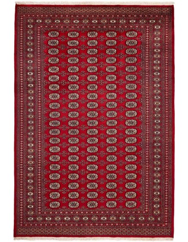 Hand made rug Bukhara fine Pakistan cm.204x301