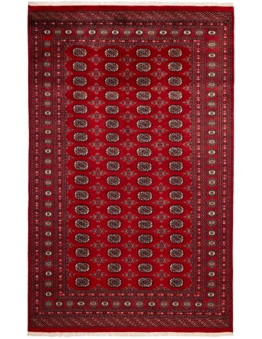 Hand made rug Bukhara fine Pakistan cm.200x325
