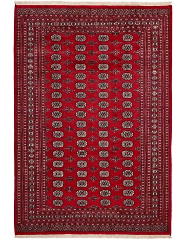Hand made rug Bukhara fine Pakistan cm.206x301