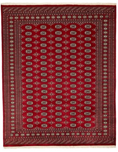 Hand made rug Bukhara fine Pakistan cm.245x304