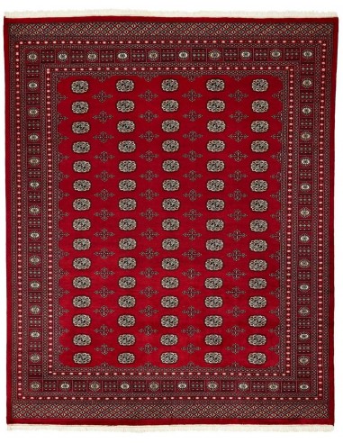 Hand made rug Bukhara fine Pakistan cm.249x309