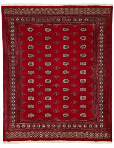 Hand made rug Bukhara fine Pakistan cm.247x303