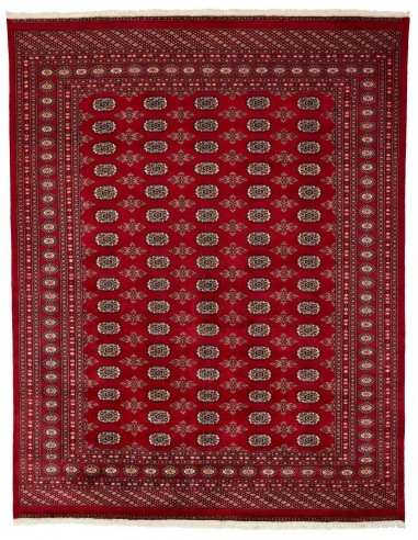 Hand made rug Bukhara fine Pakistan cm.241x309