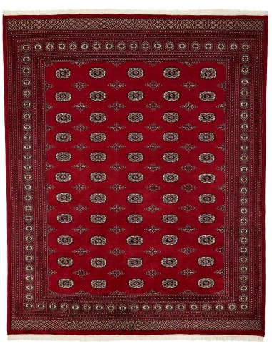 Hand made rug Bukhara fine Pakistan cm.246x304