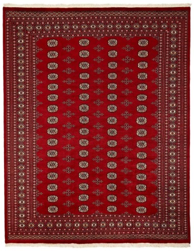 Hand made rug Bukhara fine Pakistan cm.247x312
