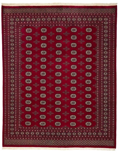 Hand made rug Bukhara fine Pakistan cm.247x307