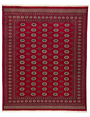 Hand made rug Bukhara fine Pakistan cm.244x297